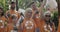 Close up of volunteers in t shirts with recycling symbol smiling and showing thumb up. Happy diverse people looking to