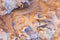 Close-up of wall of rocky massif in the Cerro de la Calavera, rock formation with irregular texture