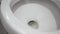 Close up of Water drained into the toilet bowl. Flushing Water in flush toilet.