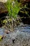 Close up of a water feature in a garden pond