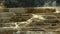 Close up of water flowing from mound spring at mammoth hot springs in yellowstone national park