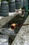 Close up of the water tribute pond at Tsz Shan Monastery in Hong Kong with wooden water spoon and chimes