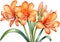 Close-up of a watercolor painting of Clivia miniata flower. Ai-Generated