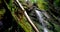 Close up of waterfall splash, spring water as it falls and dribbles on rocks covered