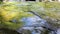 Close-up of a waterfall stream. wild mountain river abundant clear stream. Waterfall with crystal clear waters, agitated waters