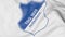 Close-up of waving flag with Hoffenheim football club logo, 3D rendering