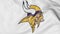 Close-up of waving flag with Minnesota Vikings NFL American football team logo, 3D rendering