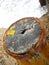 Close-up of weathered pier at Climping in South England