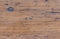 Close up  of a weathered unfinished wooden plank background