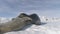 Close-up Weddell seals playing on Antarctica snow.