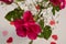 Close up of wedding bouquet of bridal flowers in hands of anonymous bride. Focus on fresh red flowers.