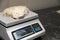 Close-up of weighing dough before baking bread. Craft bakery. Fast Professional Work of Bakers