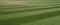 Close up of well manicured grass tennis court at Wimbledon, photographed during the 2018 championships.