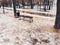 Close up of wet bench on street in early spring. Wooden pew in slushy weather with melted snow.