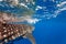 Close up of Whale shark (Rhincodon typus) heading toward the caribbean\'s surface