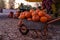 Close up of a wheelbarow with orange pumpkins for selling. Detail on a roadside market. Targoviste, Romania, 2019