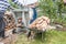 Close up of a wheelbarrow fully loaded with logs working and sawing wood, Germany