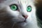 A Close-Up of a White Cat with Shimmering Green Eyes. Generative AI