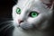 A Close-Up of a White Cat with Shimmering Green Eyes. Generative AI