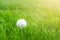 Close-up of white golf ball in green grass meadow. Details of play field. Resort with sport outdoor activities concept