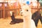 Close up white hair alpaca, Indoor zoo
