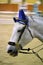 Close-up of white horse during a competition