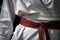 close-up of a white karate belt tied around a gi