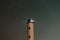 A close up of a white lighthouse with a sky filled of stars