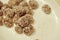 Close up of a white plate with homemade cocoa and coconut cookies bullets