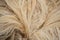 Close-up of a white sisal fiber, part of which is woven into a rope
