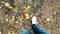 Close up of white sneakers shoes man walking top view on carpet of colorful autumn