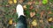 Close up of white sneakers shoes man walking top view on carpet of colorful autumn leaves and