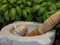 Close Up of White Stone Mortar, Fresh Basil and White Garlic