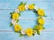 Close up white and yellow chrysanthemum flowers in circle shape on blue wood