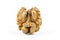 Close up whole walnut kernel without shell on white background. healthy food for brain