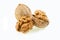 Close up whole walnut kernel with shell on white background. walnuts healthy food for brain