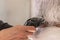 close up of wife cutting her husband`s grey hair with a shaver in their bathroom