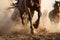 close-up of wild horses hooves kicking up dust while galloping