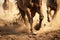 close-up of a wild horses hooves kicking up dust while galloping