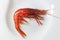 Close-up of a wild Taiwanese hokkai shrimp