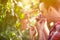 Close-up of winemakers tasting grapes in vineyard