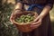 Close-up of woman with casual clothes with hands holding wicker basket full of olives ripe fresh organic vegetables