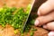 Close up of woman chopping green onion with knife