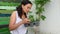 Close-up woman engaged in gardening, examines lavender seedlings growing in tray