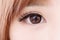 Close up of woman eyelashes