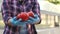 Close-up of woman gardener holding ripe tomato in greenhouse.