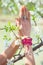 Close up woman hand with rings and bracelets in yoga mudra namaste gesture in front cherry blossom