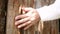 Close up of woman hand touching hard rough surface old wooden door on sunny summer day. Concept of love for nature.
