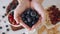 Close Up of Woman Hands Holding a Fresh Blueberries, Concept of Vegetarian Food