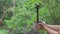 Close up of woman hands holding pot with small tree in the rain watering